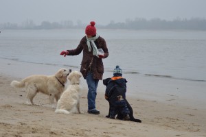 tierkommunikatorin_sibylle-steinmeier_fine-senses_hamburg-300x200 Hunde_Elbstrand_Wittenbergen_Tiertelepathie-Hamburg