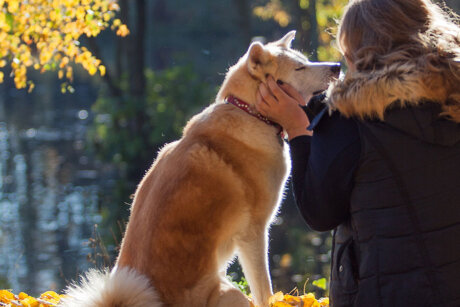 Tierkommunikatorin Hund