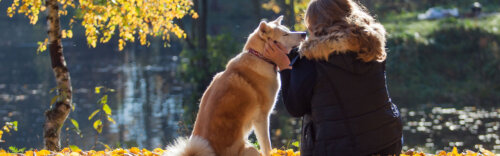 Tierkommunikatorin Hund