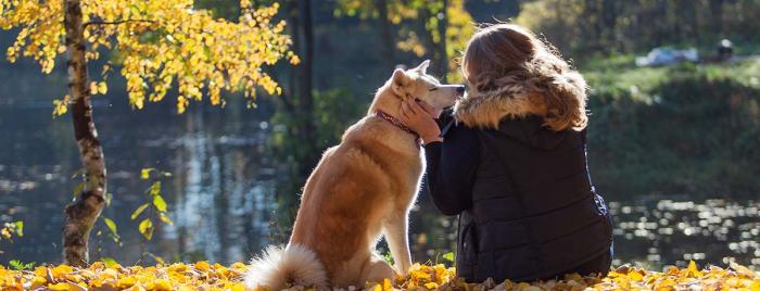 Tierkommunikatorin Hund