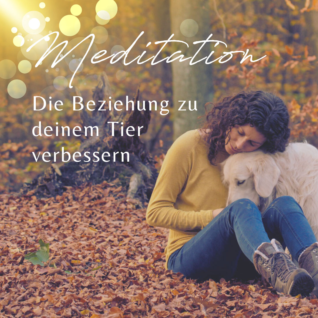 Meditation Die Beziehung zu deinem Tier verbessern Frau und Hund sitzen nah beinander im Wald