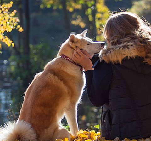 Tierkommunikatorin Hund