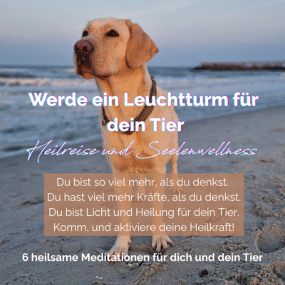 Werde ein Leuchtturm für dein Tier - Heilreise und Seelenwellness - Meditationsprogramm für Tierfreunde
