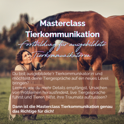 Masterclass Tierkommunikation - Fortbildung für ausgebildete Tierkommunikatoren - mehr Empfangen, bessere Tiergespräche, Traumaauflösung, live-Tierkommunikation