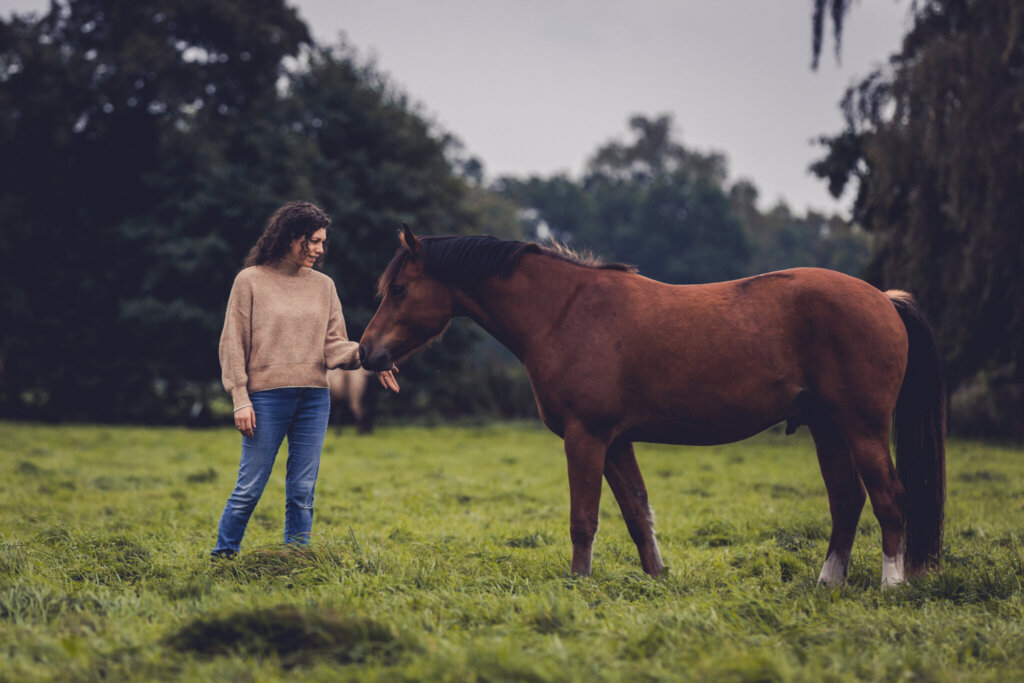 Tierkommunikation Live Tiergespräch