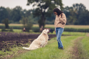 Tierkommunikation Schnupperkurs Sibylle Eddy Fine Senses