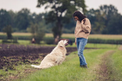 Tierkommunikation Schnupperkurs Sibylle Eddy Fine Senses Onlinekurs Empfange und Vertraue